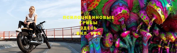 стафф Алексеевка