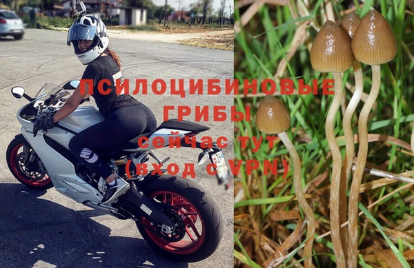 таблы Алзамай