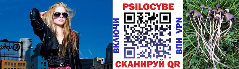 мега сайт  darknet Telegram  Галлюциногенные грибы мицелий  Цивильск 